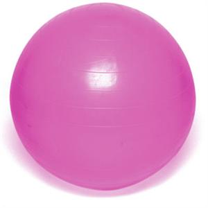 Stability Ball Pro with Weight Resistance and DVD
